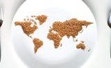 Le tour du monde des spécialités culinaires