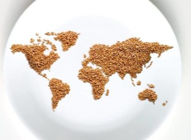 Le tour du monde des spécialités culinaires
