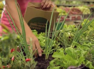 Cueillez vos propres légumes dans ce supermarché brésilien