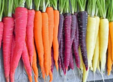 Les légumes oubliés reviennent à la mode dans nos cuisines !