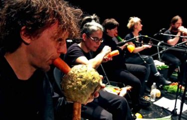 A Vienne, un orchestre joue de la musique avec des légumes !