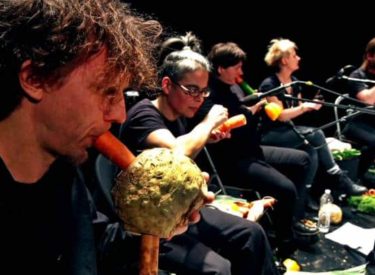 A Vienne, un orchestre joue de la musique avec des légumes !