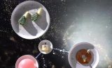 Que mangera-t-on en 2050 ?