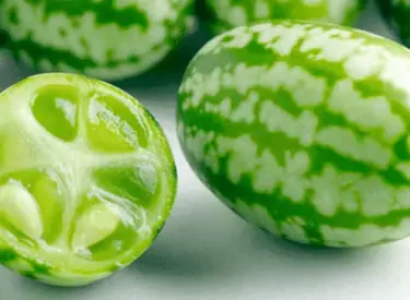 Connaissez-vous le cucamelon ?