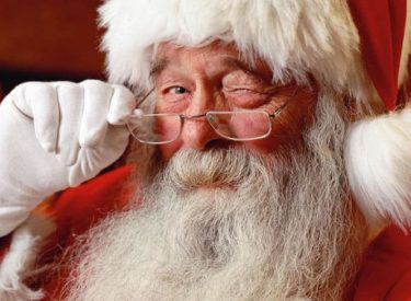 Cette année, mangez votre sapin de Noël