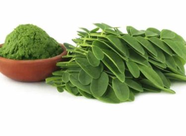 Le moringa, l’aliment tendance pour 2017