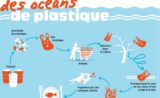 Quand vous mangez du poisson… vous mangez aussi du plastique !