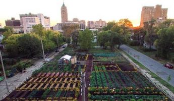 Cette grande ville renaît de ses cendres grâce à l’agriculture urbaine