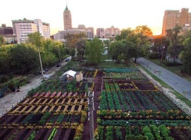 Cette grande ville renaît de ses cendres grâce à l’agriculture urbaine