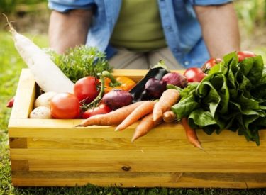 Le Walipini, une serre souterraine pour des légumes frais toute l’année !