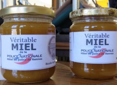 Rennes : des policiers se lancent dans l’apiculture sur le toit du commissariat