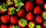 Les incroyables bienfaits de la fraise pour la santé