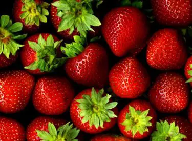 Les incroyables bienfaits de la fraise pour la santé