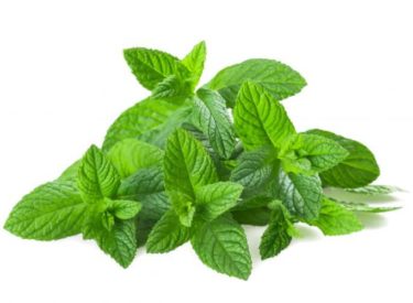 Faites du bien à votre organisme en consommant de la menthe !