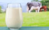 Découvrez ces utilisations inédites du lait !