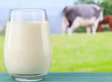 Découvrez ces utilisations inédites du lait !