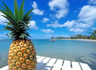 Pourquoi manger de l’ananas cet été ?