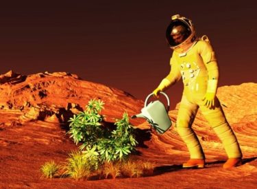 Insolite : une start-up américaine veut faire pousser des légumes sur Mars