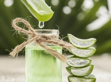 Le jus d’aloe vera : un allié beauté et santé !