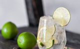 L’un des meilleurs gins du monde ne coûte que 11 euros !