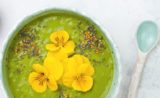 Le pollen alimentaire, le nouveau condiment à la mode