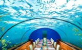 Maldives : découvrez le premier restaurant sous l’eau !