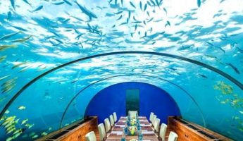 Maldives : découvrez le premier restaurant sous l’eau !