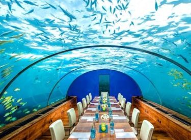 Maldives : découvrez le premier restaurant sous l’eau !