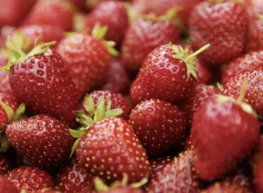 La fraise, votre allié santé du printemps