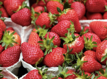 Fraises : comment les choisir ?